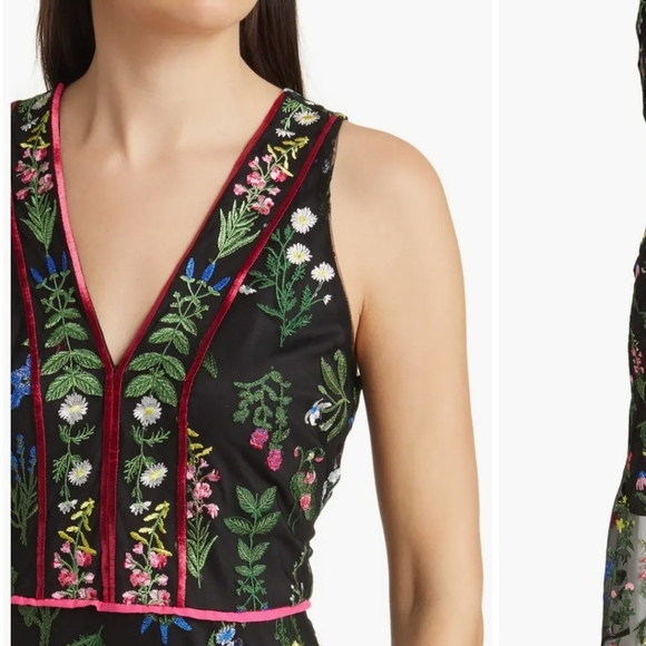 Sam Edelman Floral Embroidered Mesh Sheer Midi Dress. S 14. Fairy Dark Romance - Picture 3 of 8